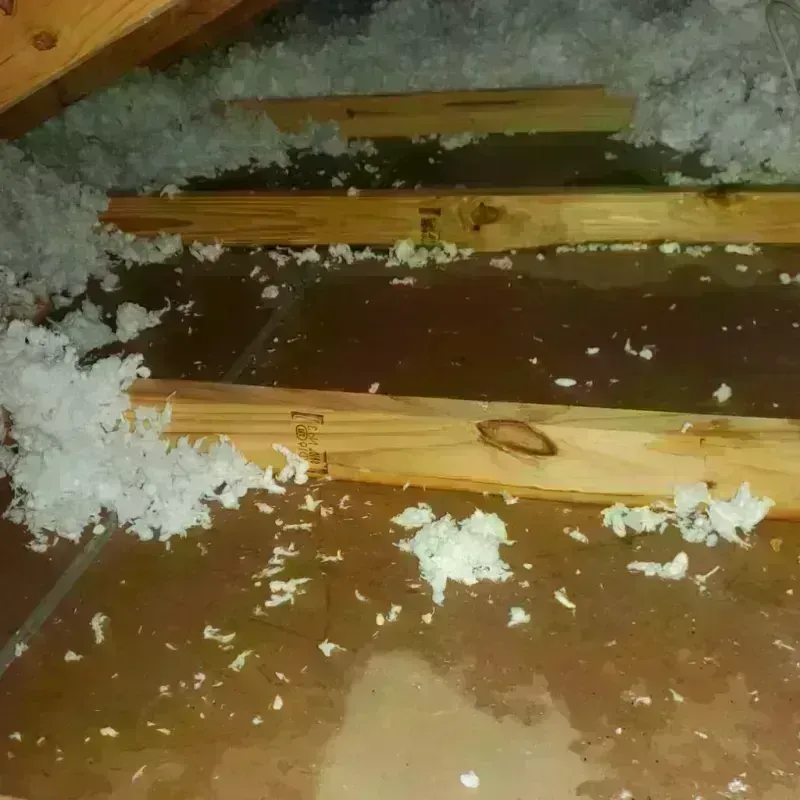 Attic Water Damage in Star City, WV